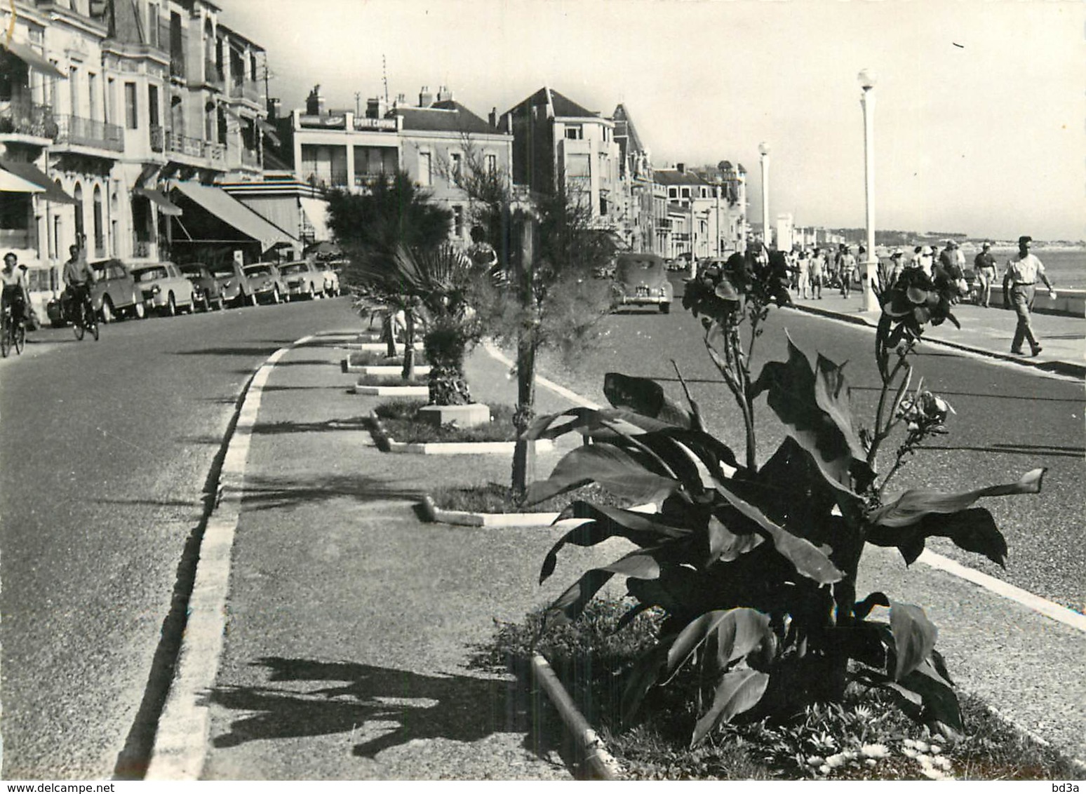 85 - LES SABLES D'OLONNE - Sables D'Olonne