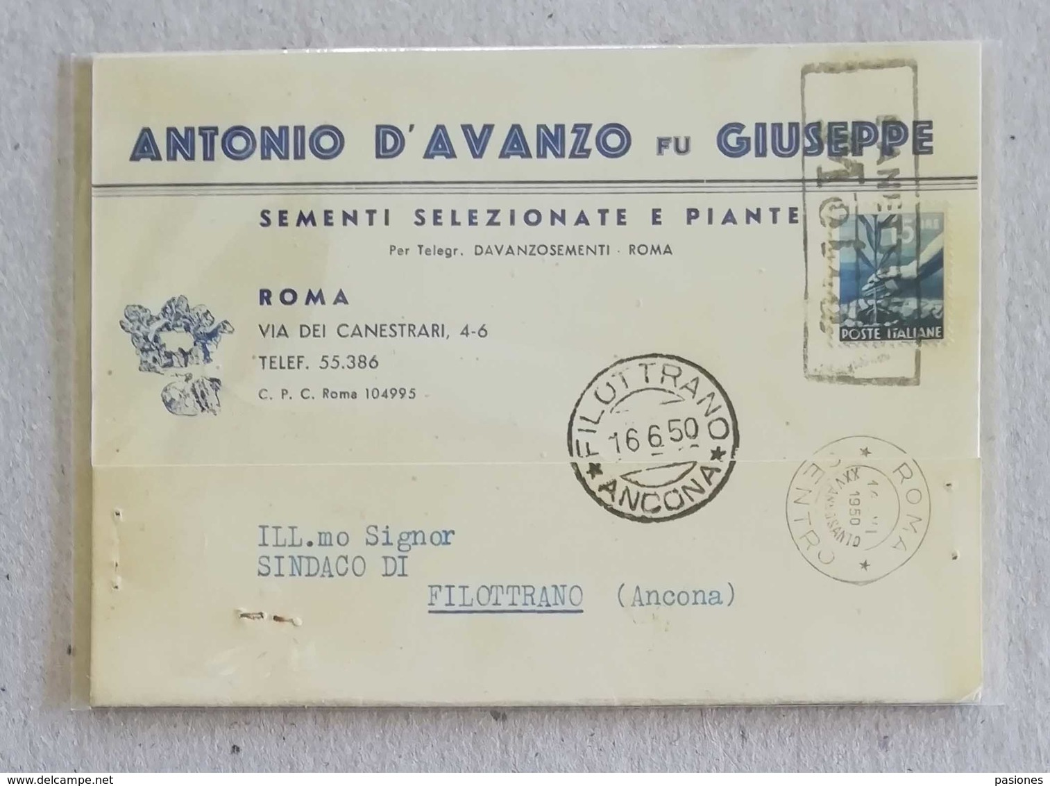 Cartolina Postale Con Testata Pubblicitaria "Antonio D'Avanzo Fu Giuseppe" Sementi Roma Per Filottrano - 16/06/1950 - 1946-60: Storia Postale