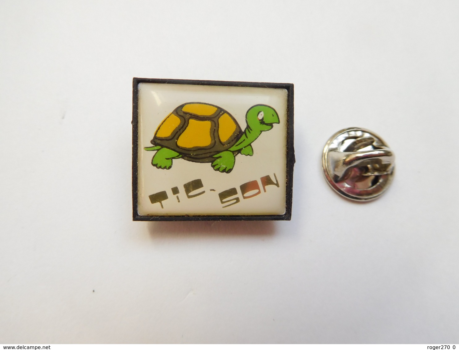 Beau Pin's , Tortue , Tic Son , Tortoise - Dieren