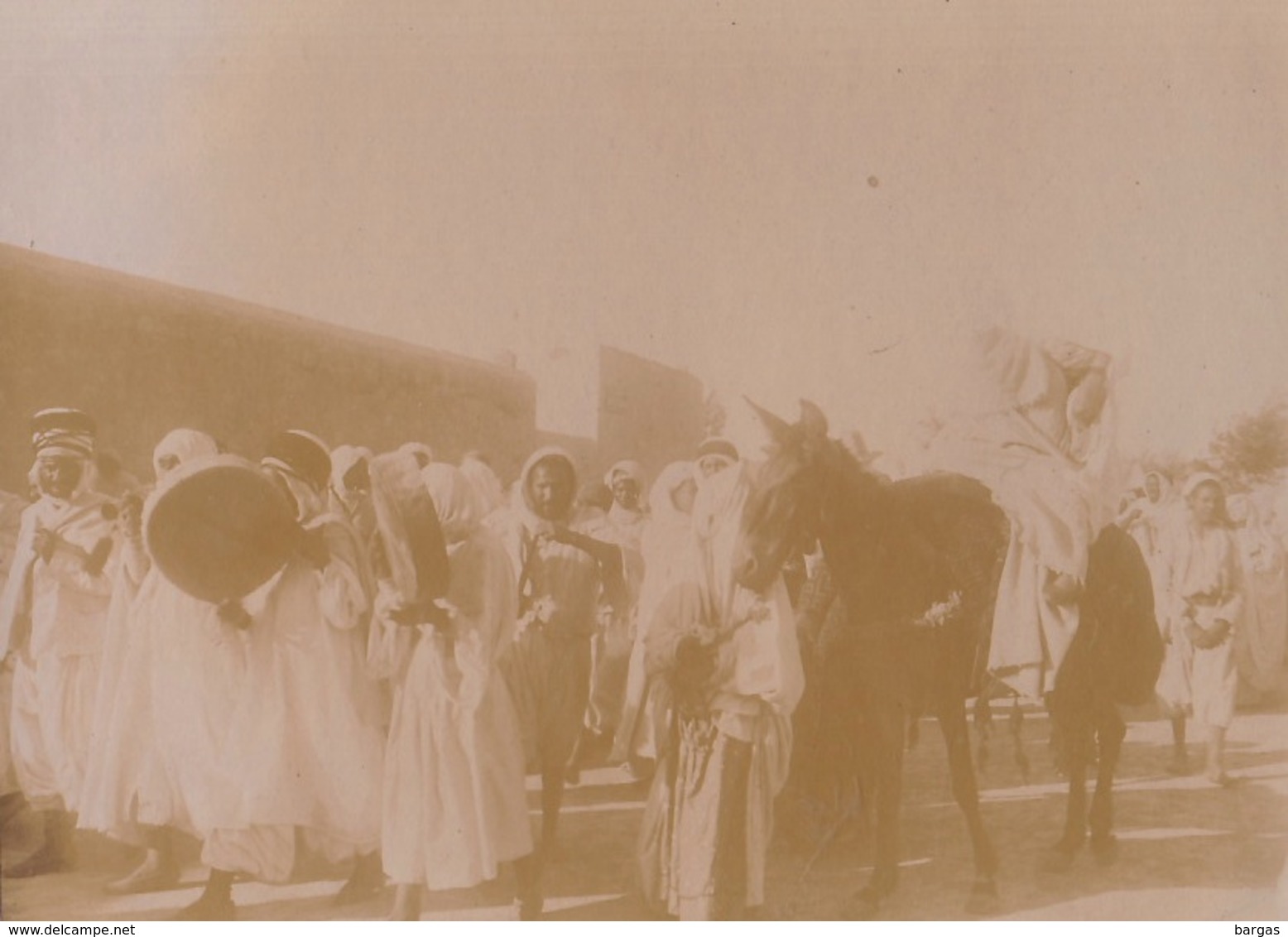 Photo D'un Mariage Arabe à Géryville Algérie La Mariée Sur Sa Mule La Musique - Luoghi