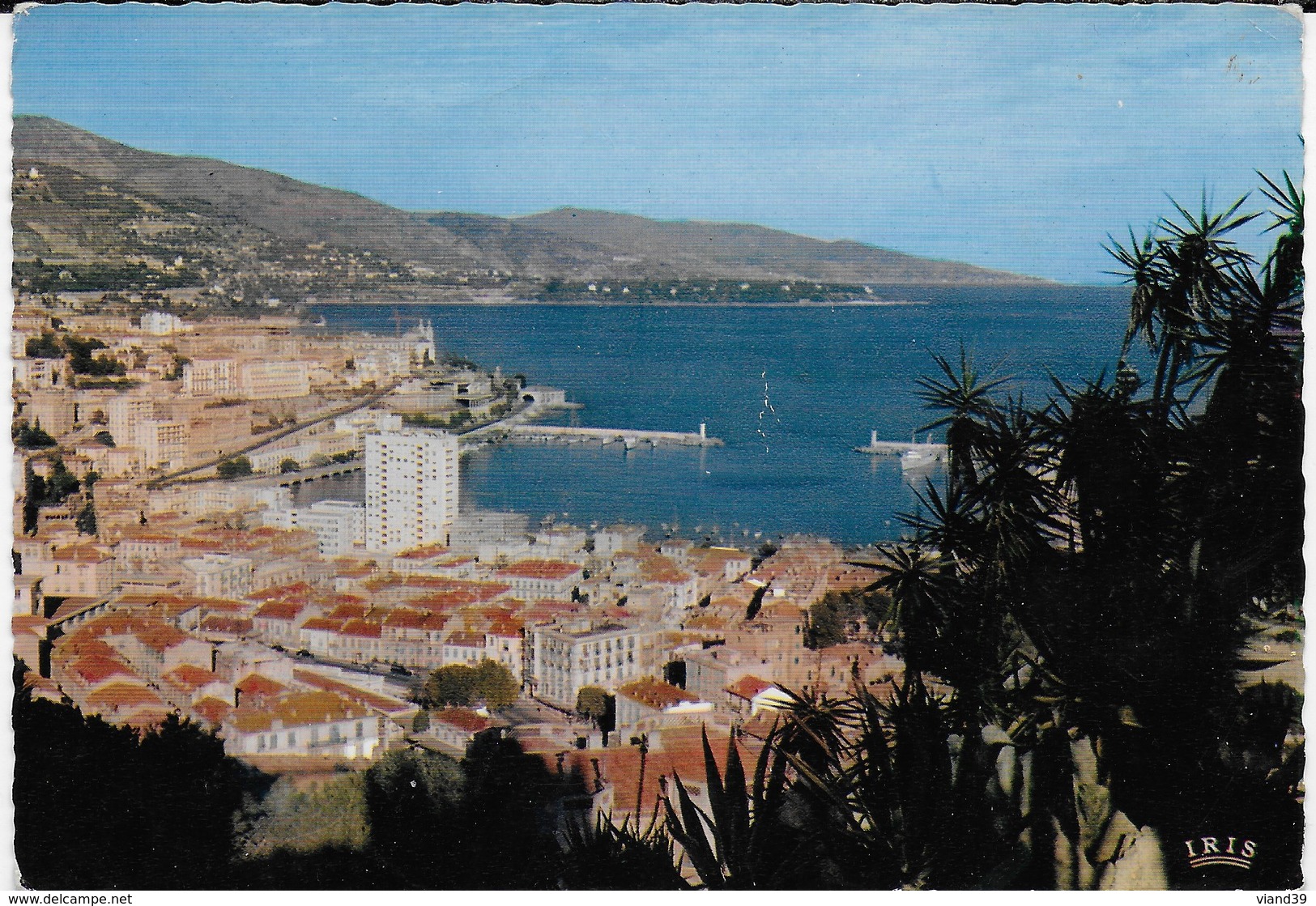 Monaco - Vue Sur La Condamine Et Monte-Carlo - La Condamine