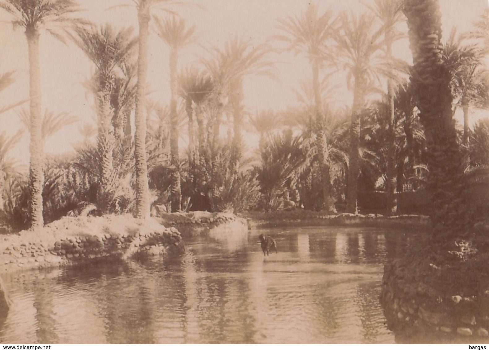1904 Photo Figuig Algérie - Lieux