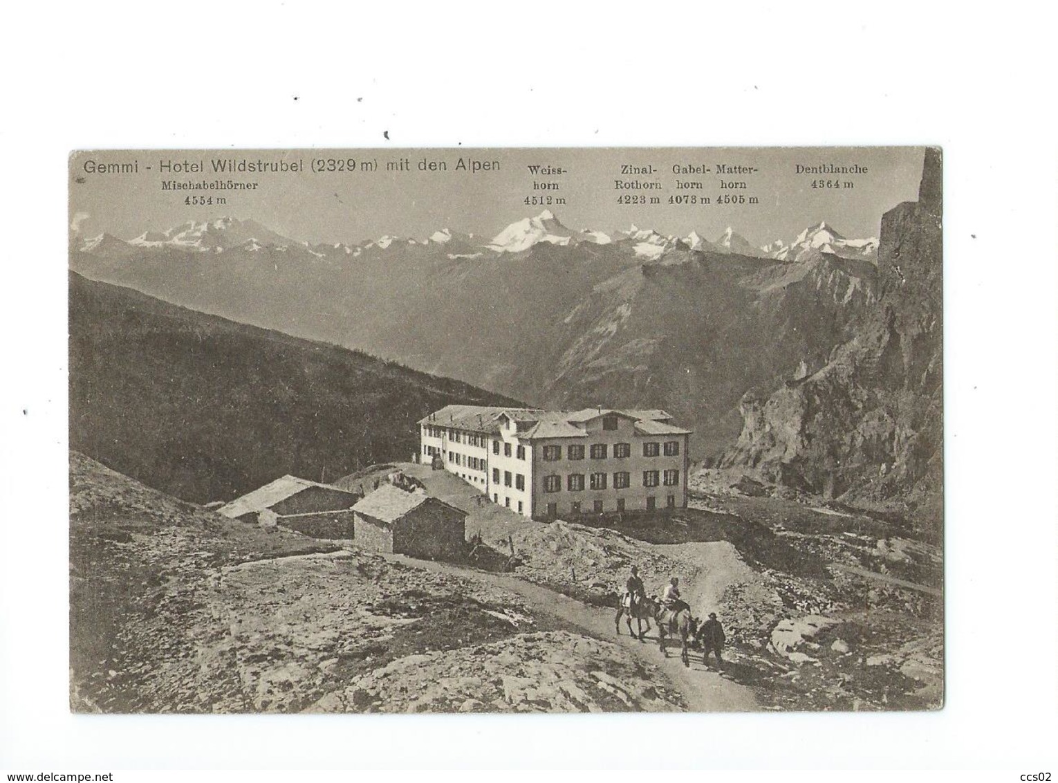 Gemmi Hotel Wildstrubel Mit Den Alpen 1923 - Trub