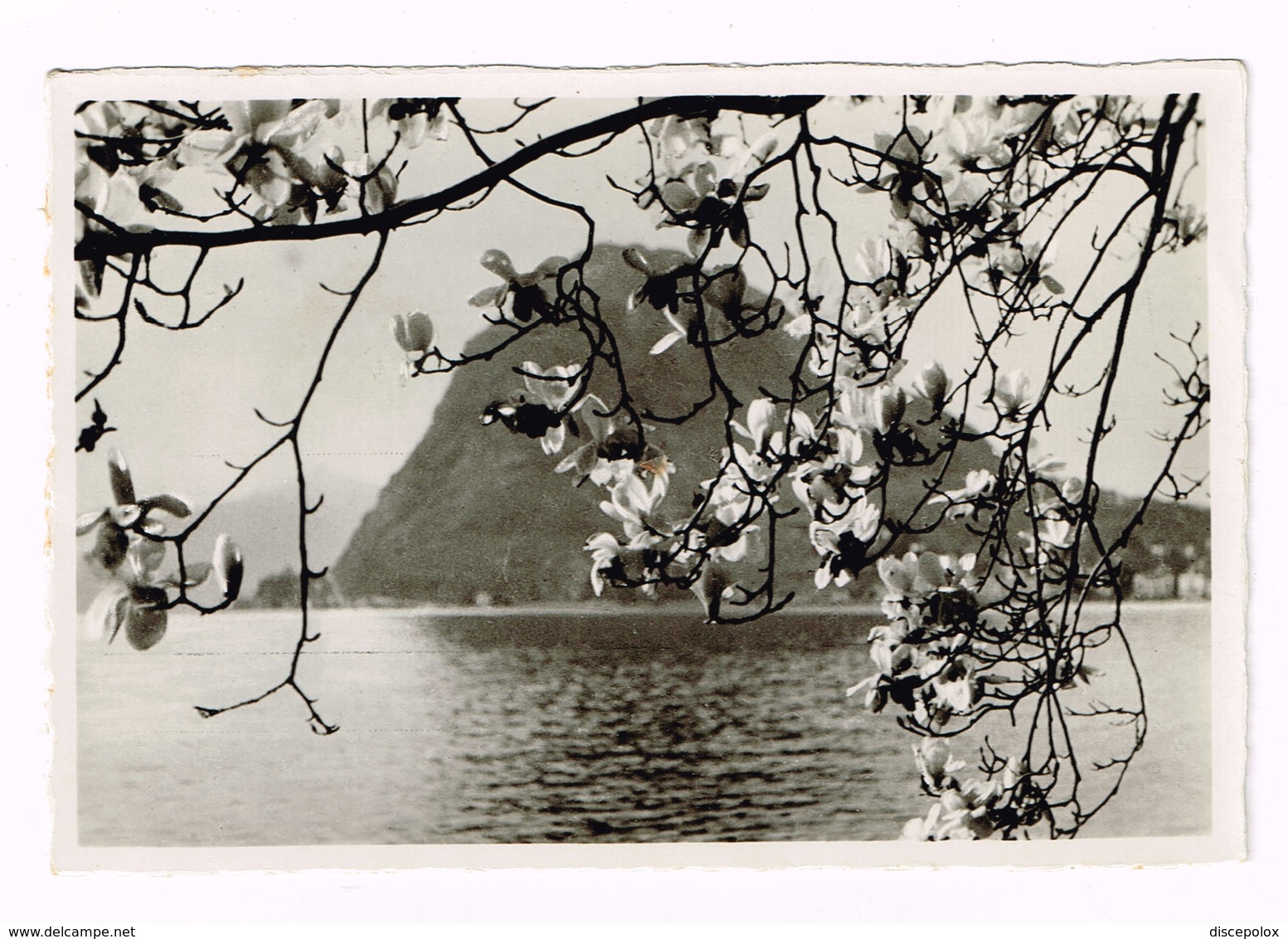 V5077 Lugano - Monte San Salvatore - Sinfonia Di Fiori Sul Lago - Panorama / Viaggiata 1941 - Lugano