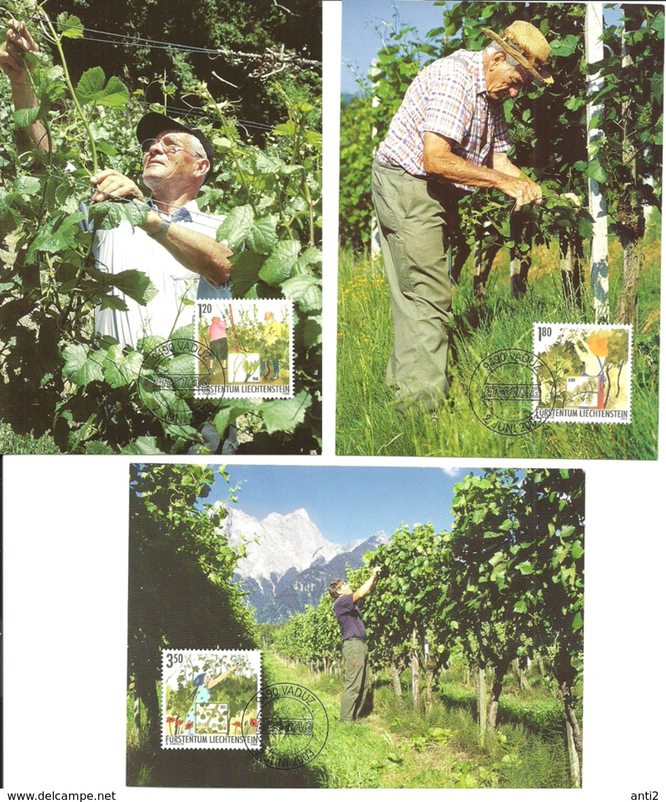 Liechtenstein 2003 The Year Of The Winemaker (II) - The Winemaker's Work In Summer, Mi 1316-1318  Maximum Cards  FDC - Covers & Documents