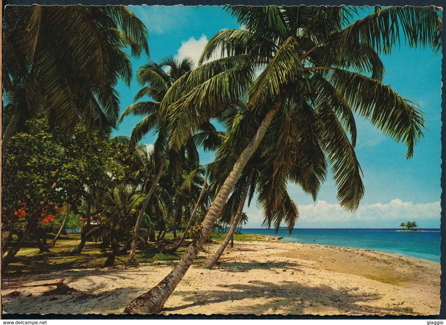 °°° 20489 - PHILIPPINES - COCONUT , COASTLINE IN LUZON °°° - Filippine