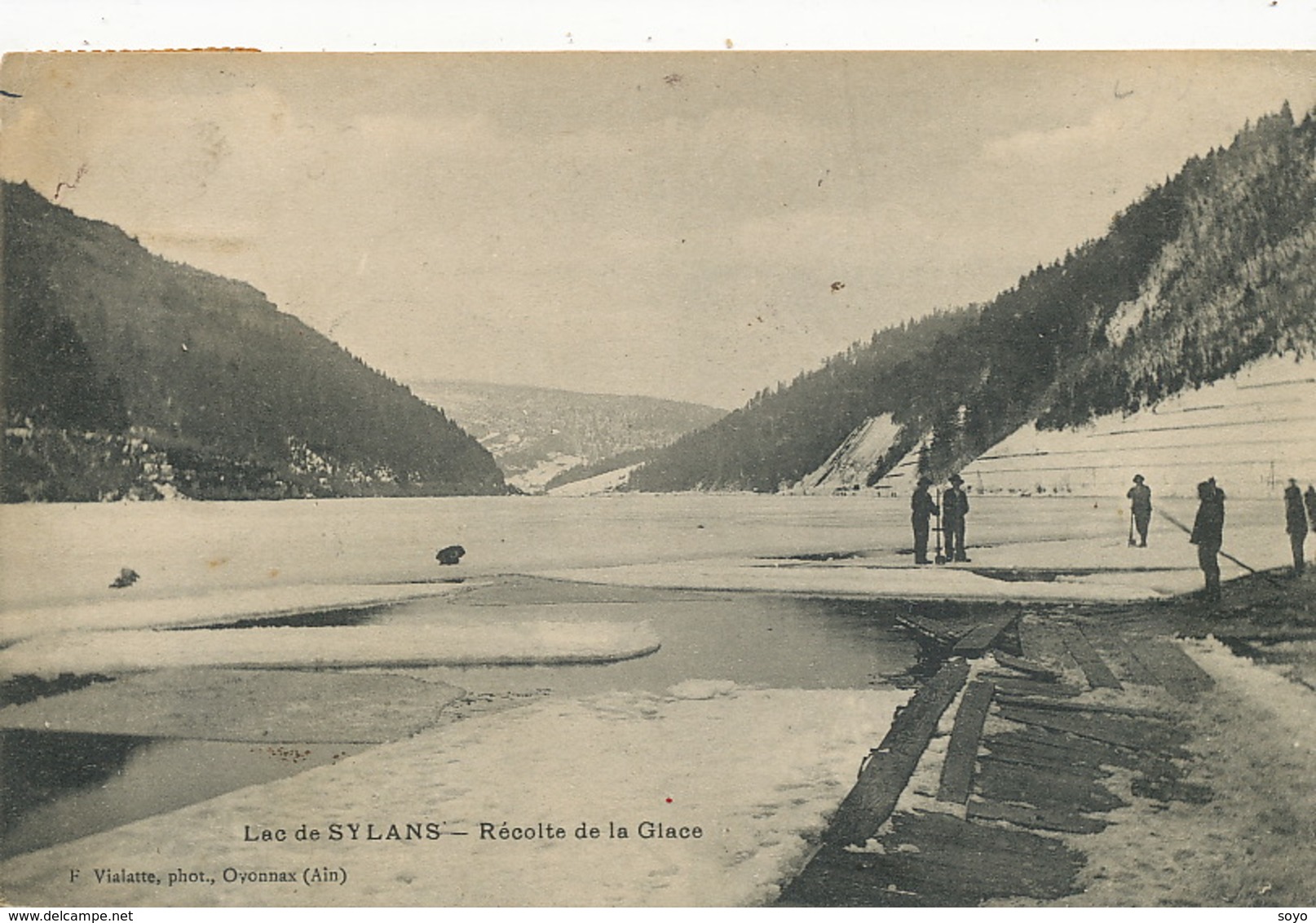 Industrie De La Glace . Lac De Sylans .La Recolte .  Ice Maker .  Ice Picking - Industrie