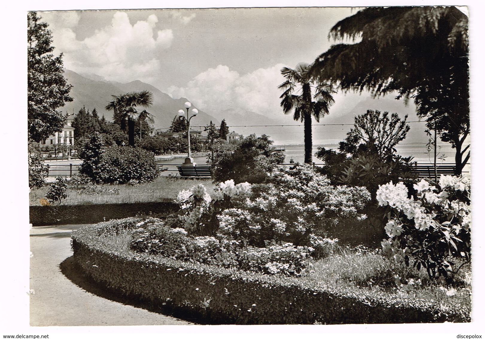 V5100 Locarno - Muralto - Lungolago Giuseppe Motta - Panorama / Non Viaggiata - Locarno