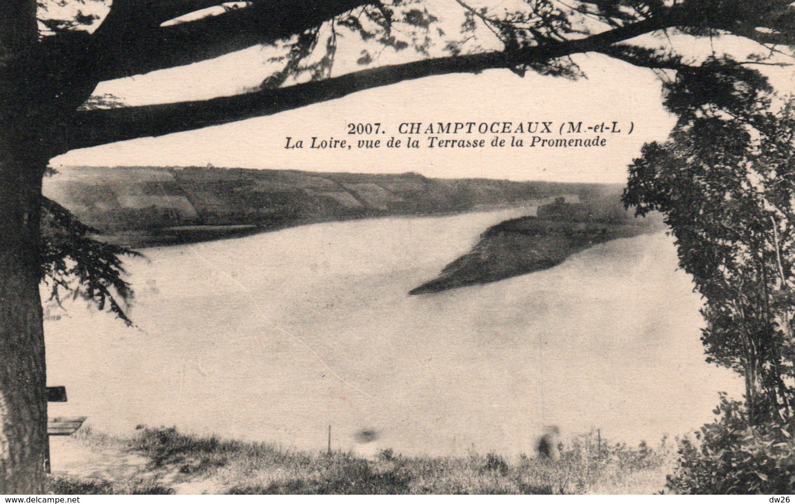 Champtoceaux (Maine-et-Loire) La Loire Vue De La Terrasse De La Promenade - Edition J. Nozais - Carte N° 2007 - Champtoceaux