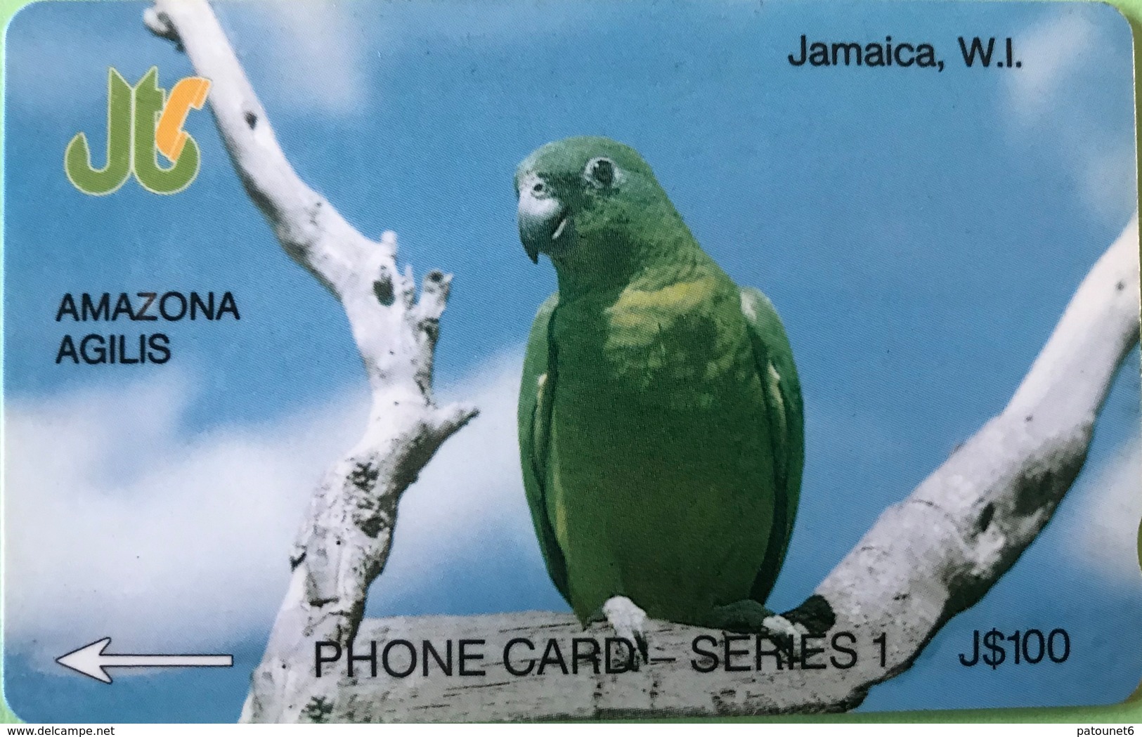 JAMAÏQUE  -  Phonecard  - Amazona Agilis  -  J $ 100 - Jamaica