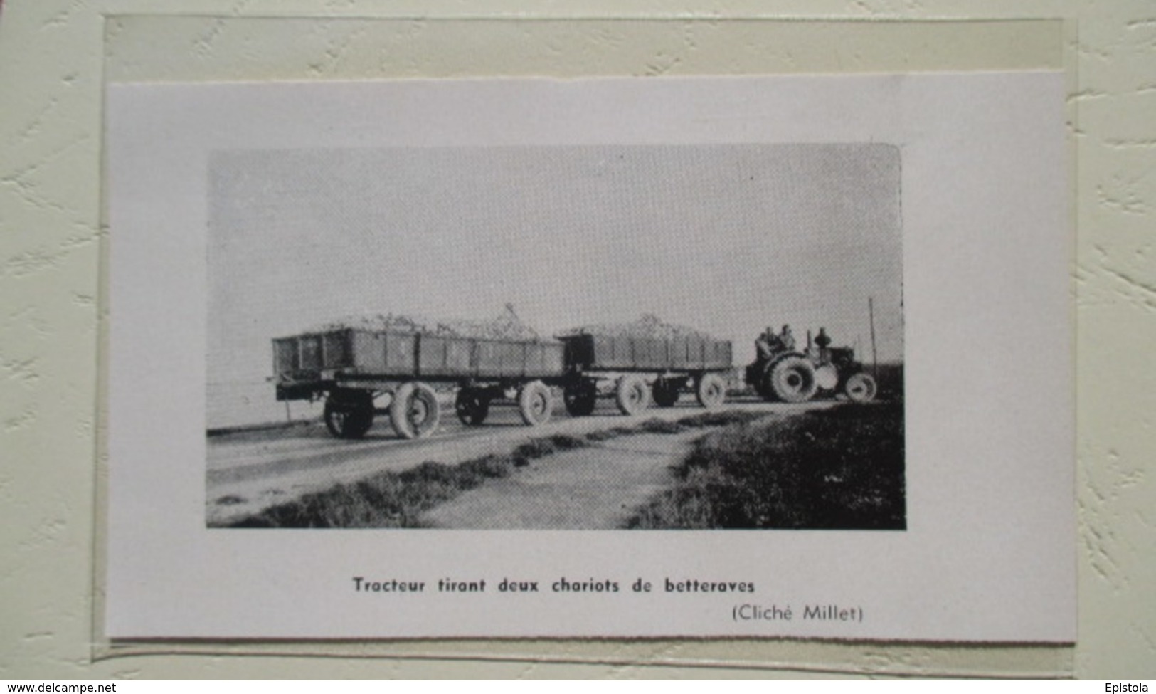 Sillery  (canada) Tracteur Avec Deux Remorques à Betteraves -  Coupure De Presse De 1913 - Tracteurs