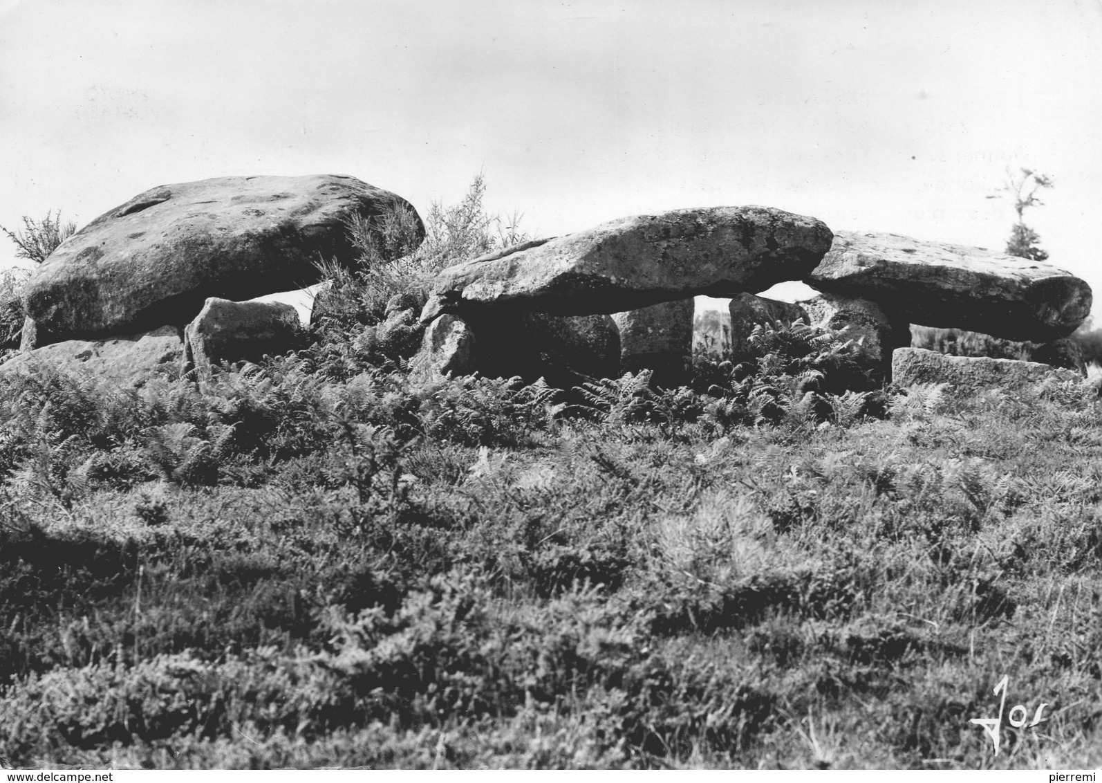 Carnac   Dolmens De KERIAVAL - Dolmen & Menhire