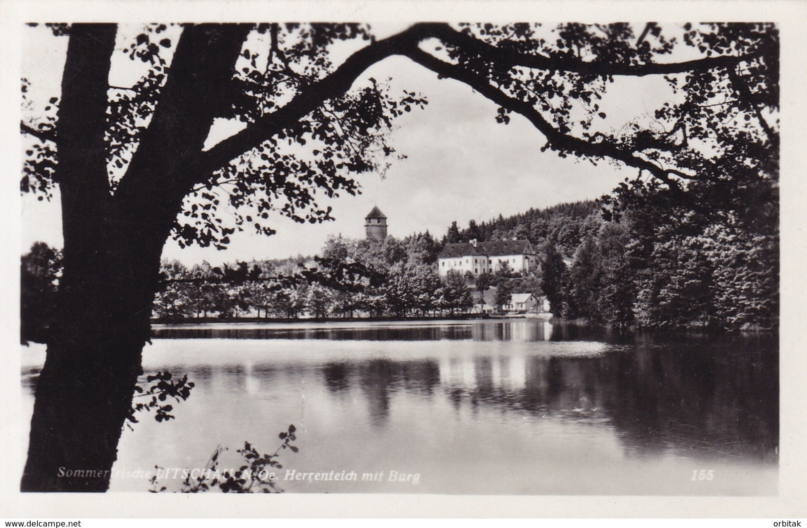 Litschau * Herrenteich, See, Burg * Österreich * AK630 - Gmünd