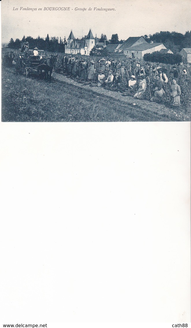 Les Vendanges En Bourgogne - Groupe De Vendangeurs - Vignes