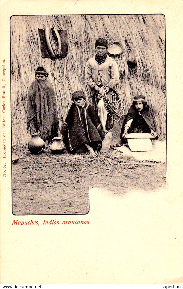 CONCEPTION : MAPUCHES - INDIOS ARAUCANOS - CARTE POSTALE PRÉCURSEUR / FORERUNNER POSTCARD ~ 1900 (ae345) - Chili