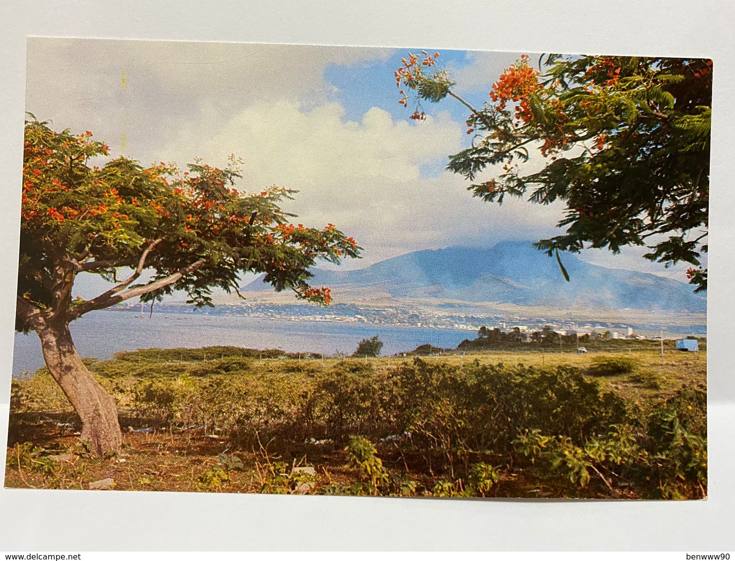 Saint Kitts Postcard, St. Kitts, Basseterre Roadsted - Saint-Christophe-et-Niévès