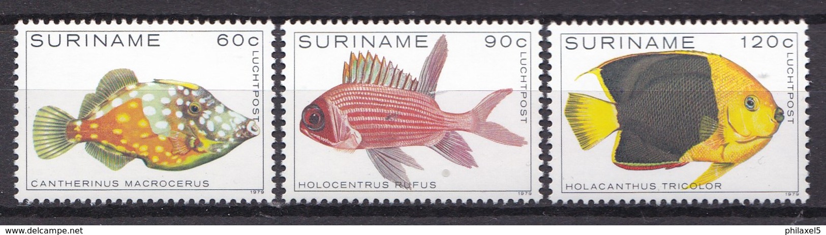 Republiek Suriname - Tropische Vissen - MNH - Zb 177 - 179 Luchtpostzegels - Suriname
