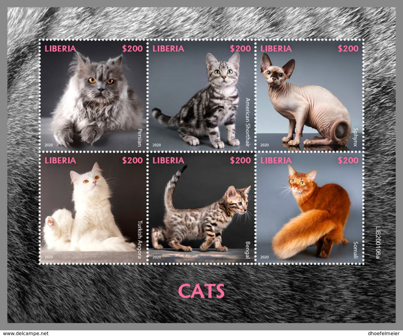 LIBERIA 2020 MNH Cats Katzen Chats M/S - IMPERFORATED - DH2012 - Hauskatzen