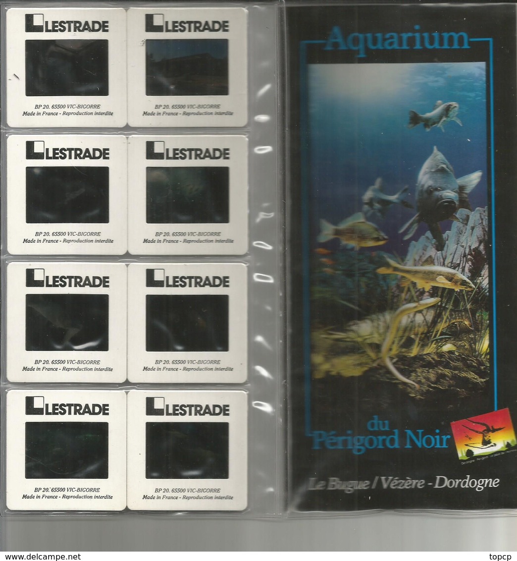 24 Serie De 8 Diapos Sur L'aquarium Du Périgord Noir - Other & Unclassified