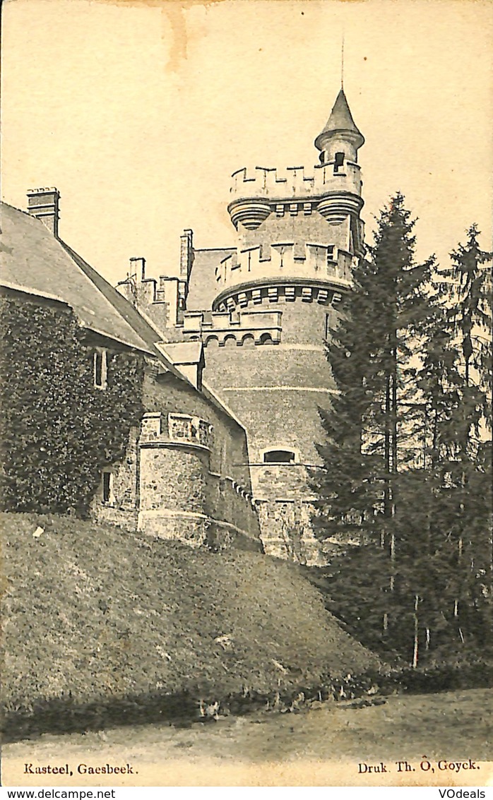 025 419 - CPA - Belgique - Kasteel Gaesbeek - Lennik