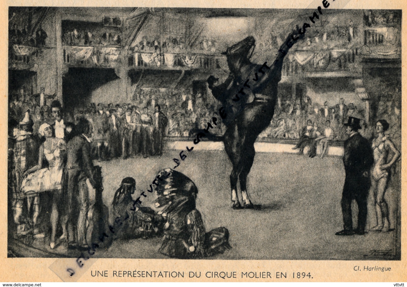 DOCUMENT PHOTO : UNE REPRESENTATION DU CIRQUE MOLIER EN 1894, CHEVAL, INDIENS, NUMEROS EQUESTRES - Ohne Zuordnung