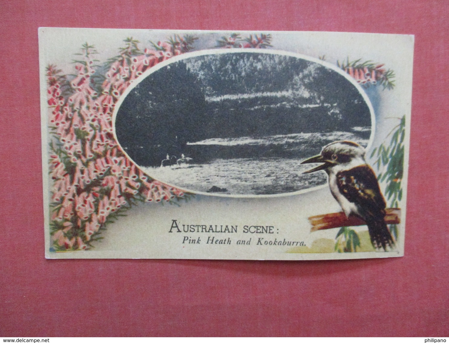 Australia Scene Border Type-------------- Pink Heath & Kookaburra  Ref 3952 - Autres & Non Classés