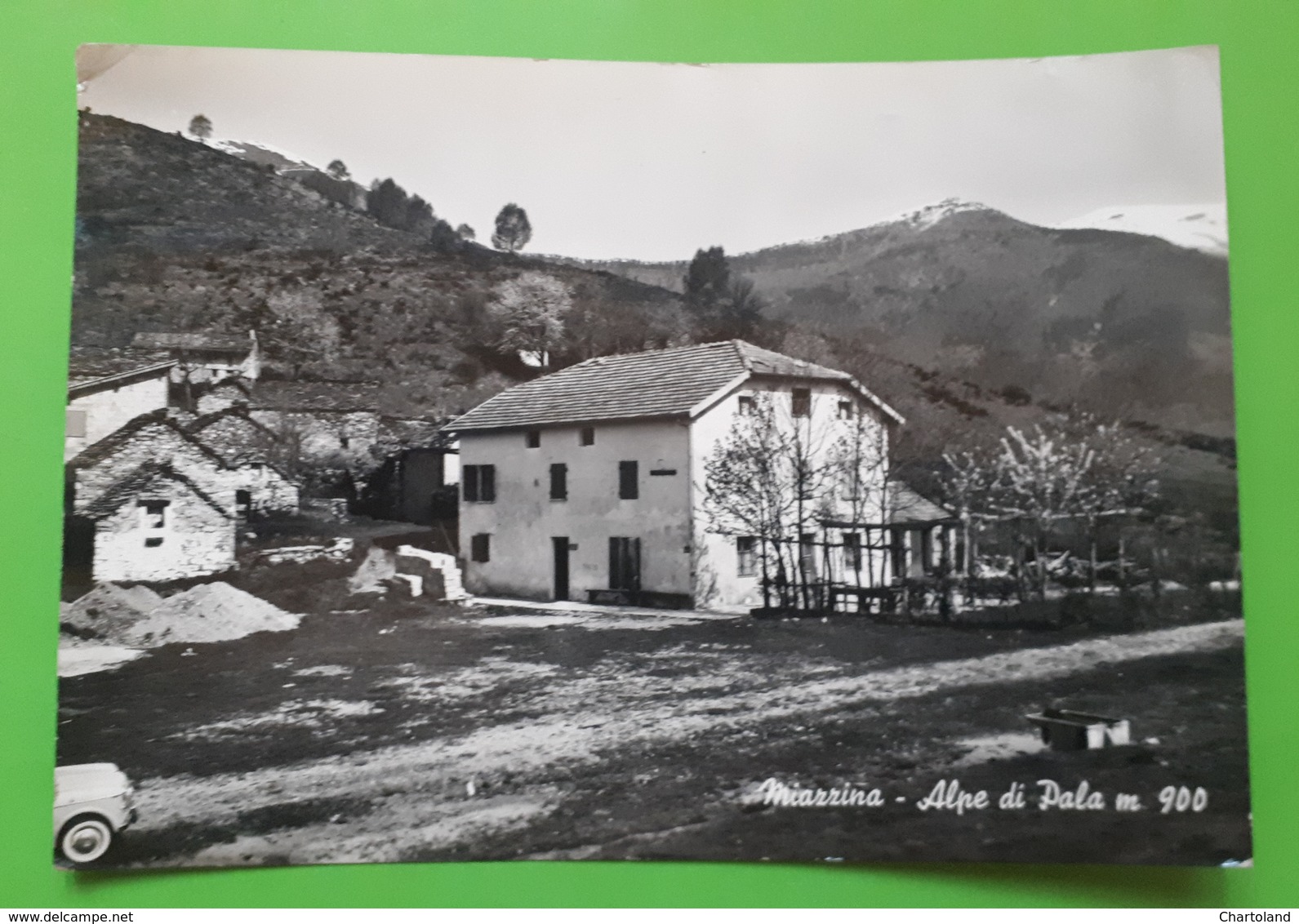 Cartolina - Miazzina - Alpe Di Pala - 1960 - Verbania