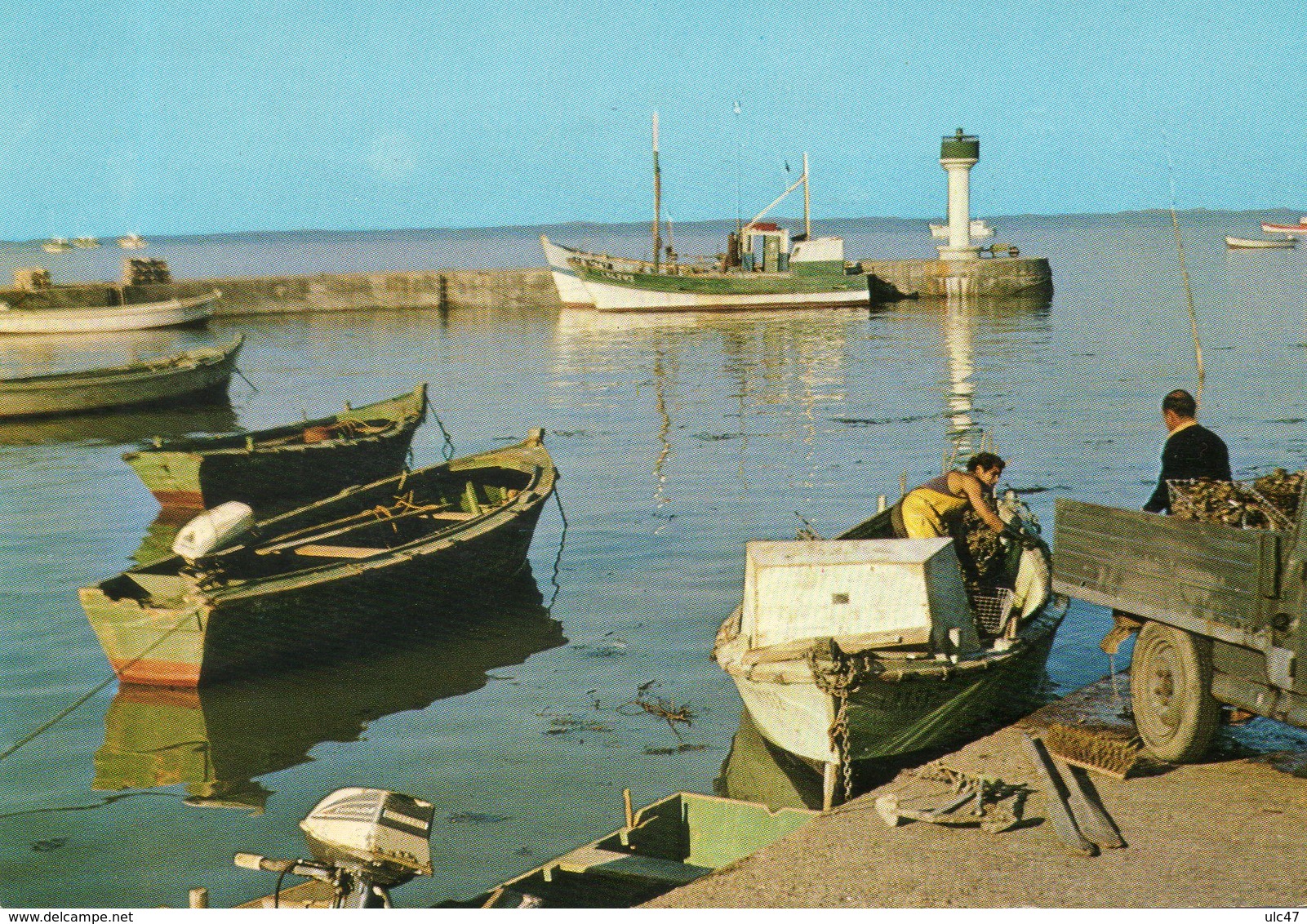 - 17 - ILE DE RE. - RIVEDOUX. Le Débarquement Des Huîtres - Scan Verso - - Ile De Ré