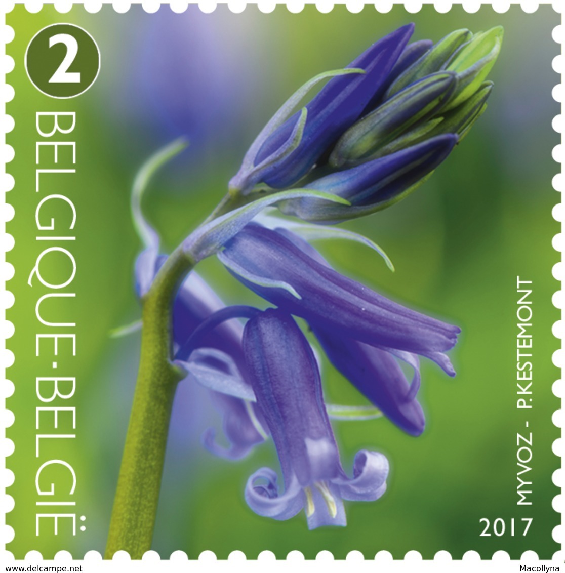 Blok 247**Boshyacinten - 4672/76** Bloeiend Bos / Les Jacinthes Des Bois (en Fleur) 2017 - 1961-2001