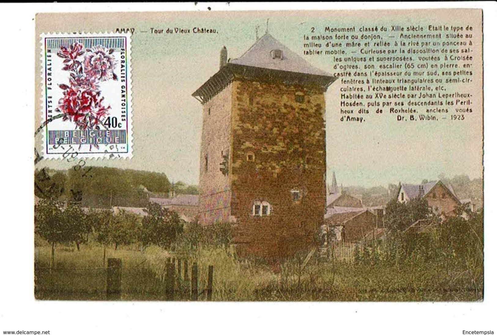 CPA-Carte Postale-Belgique-Amay- Tour Du Vieux Château-1960-M14721 - Amay
