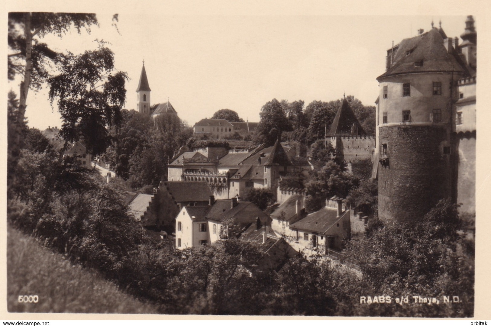 Raabs An Der Thaya * Burg, Befestigungswerk, Kirche * Österreich * AK815 - Waidhofen An Der Thaya