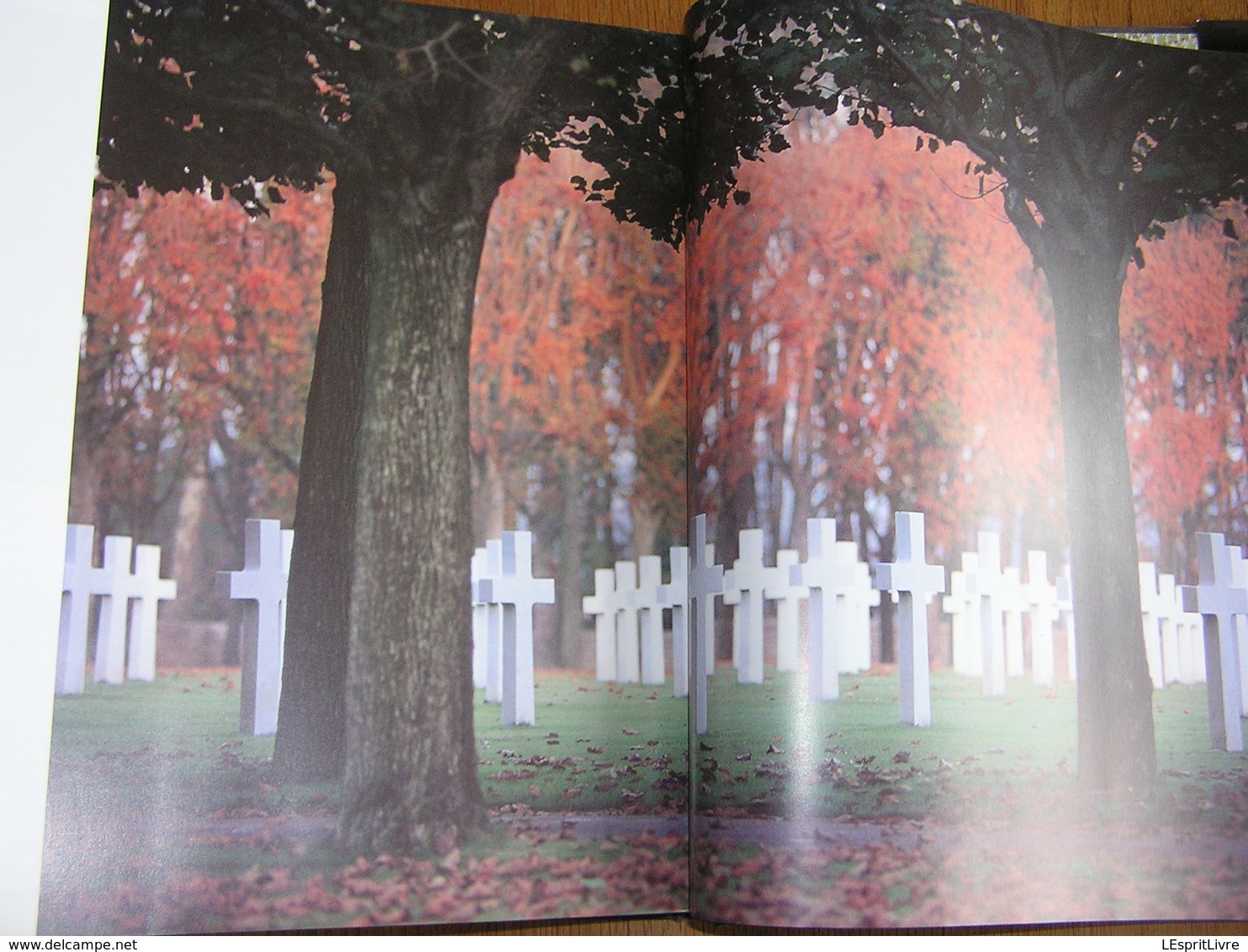 LES CHAMPS DE LA MEMOIRE Guerre 14 18  Flandre Argonne Vosges Verdun Champagne Vauquois Maginot Ardenne France Belgique