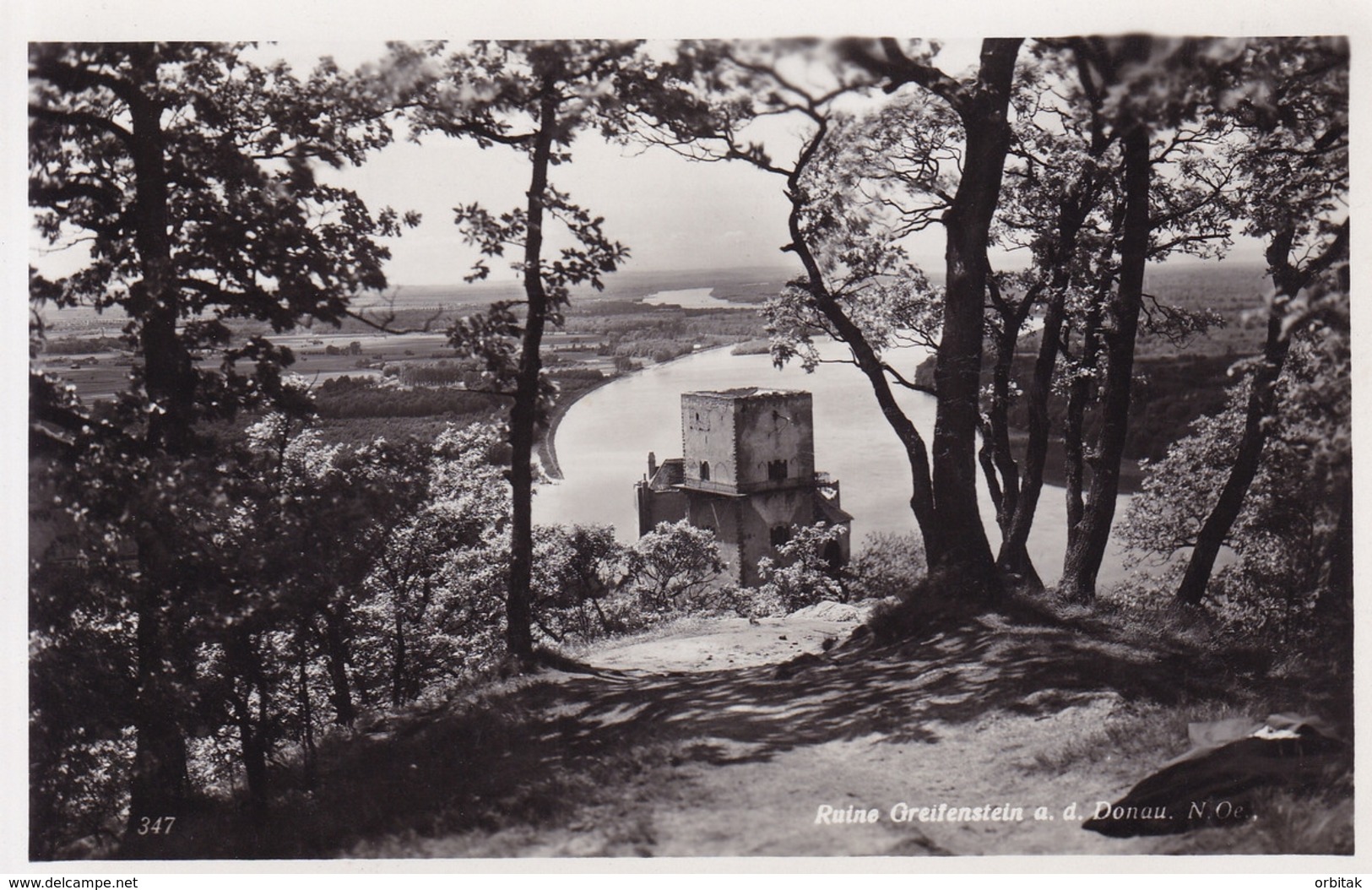 Greifenstein * Burgruine, Fluss, Partie * Österreich * AK971 - Tulln