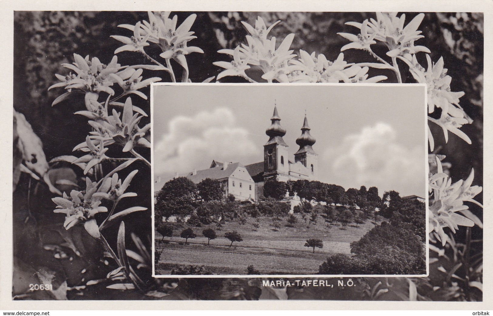 Maria Taferl * Wallfahrtsort, Kirche, Edelweiß, Collage * Österreich * AK1176 - Maria Taferl