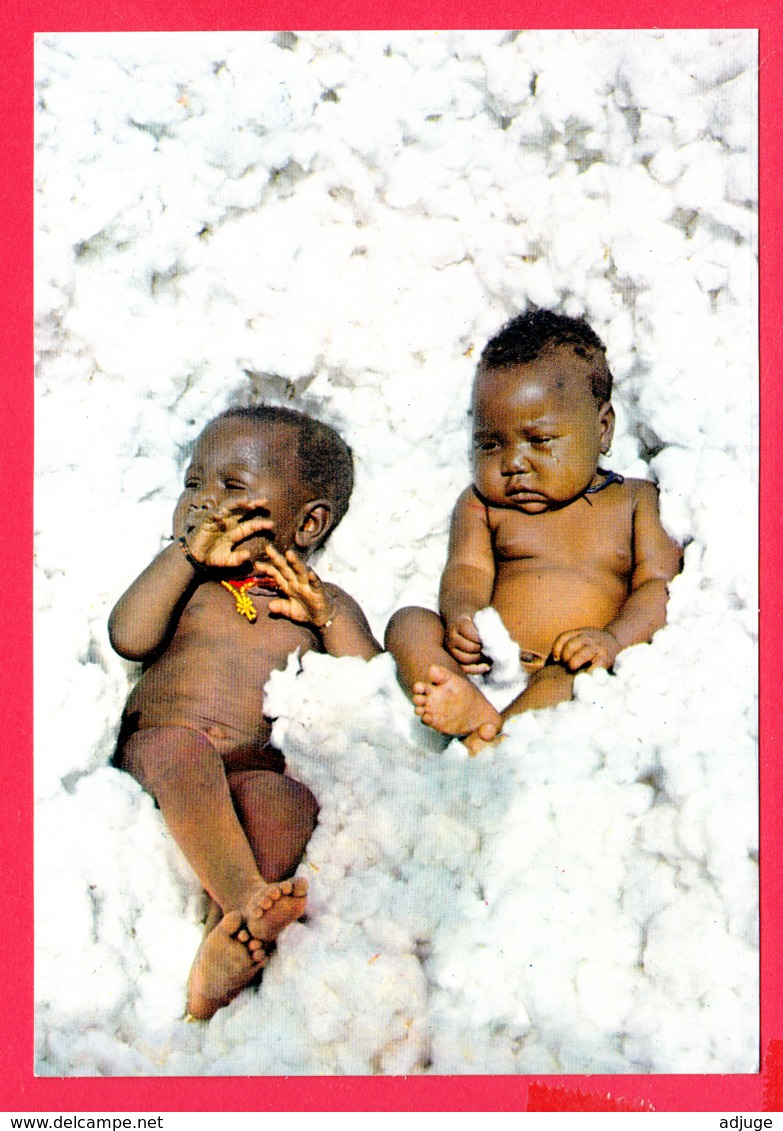 ZAÏRE- CONGO- Bébés Dans Le Cton - Babies In Cotton-wool * TOP *2 SCANS *** - Kinshasa - Leopoldville (Leopoldstadt)