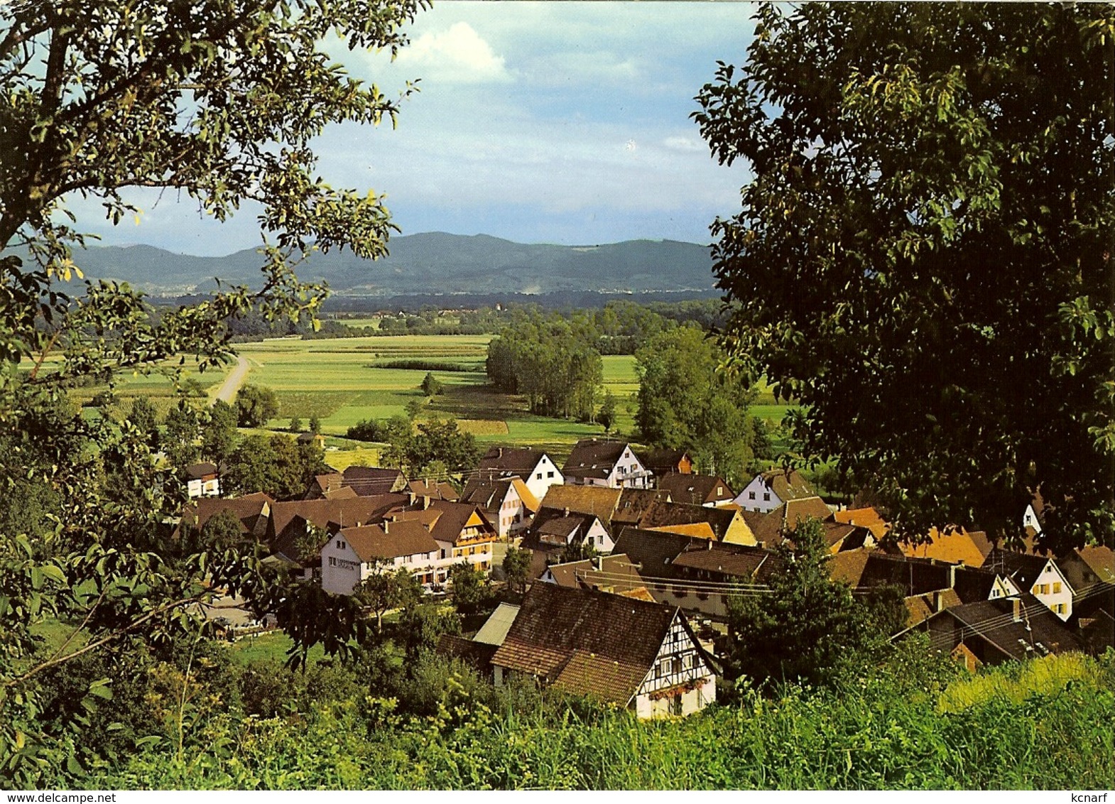 CP De TENINGEN " Gasthaus Zum Rebstock " - Emmendingen