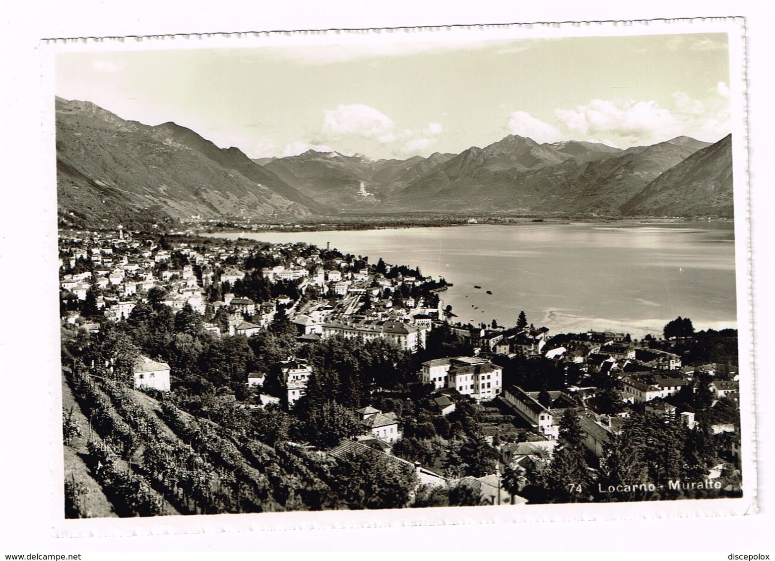 V5119 Locarno - Muralto - Panorama - Lago Maggiore / Viaggiata 1955 - Locarno