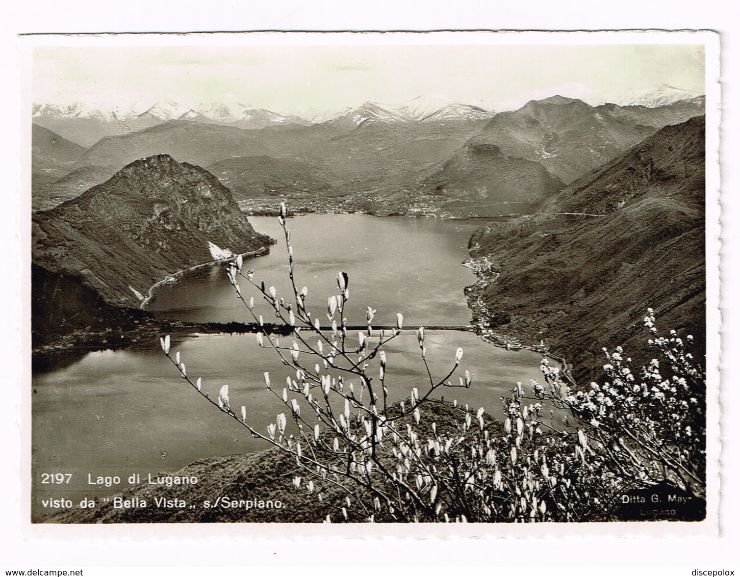 V5122 Lago Di Lugano - Ponte Di Melide - Panorama Vista Da Bella Vista E Serpiano / Non Viaggiata - Lugano