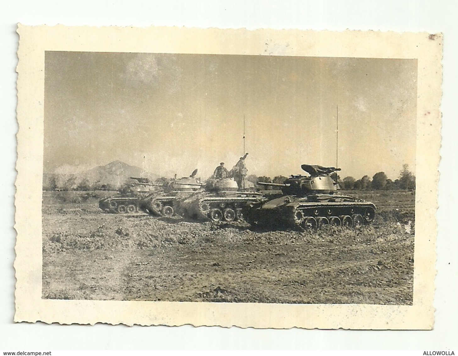 7049 " CARRI ARMATI " FOTO ORIGINALE - Guerra, Militari