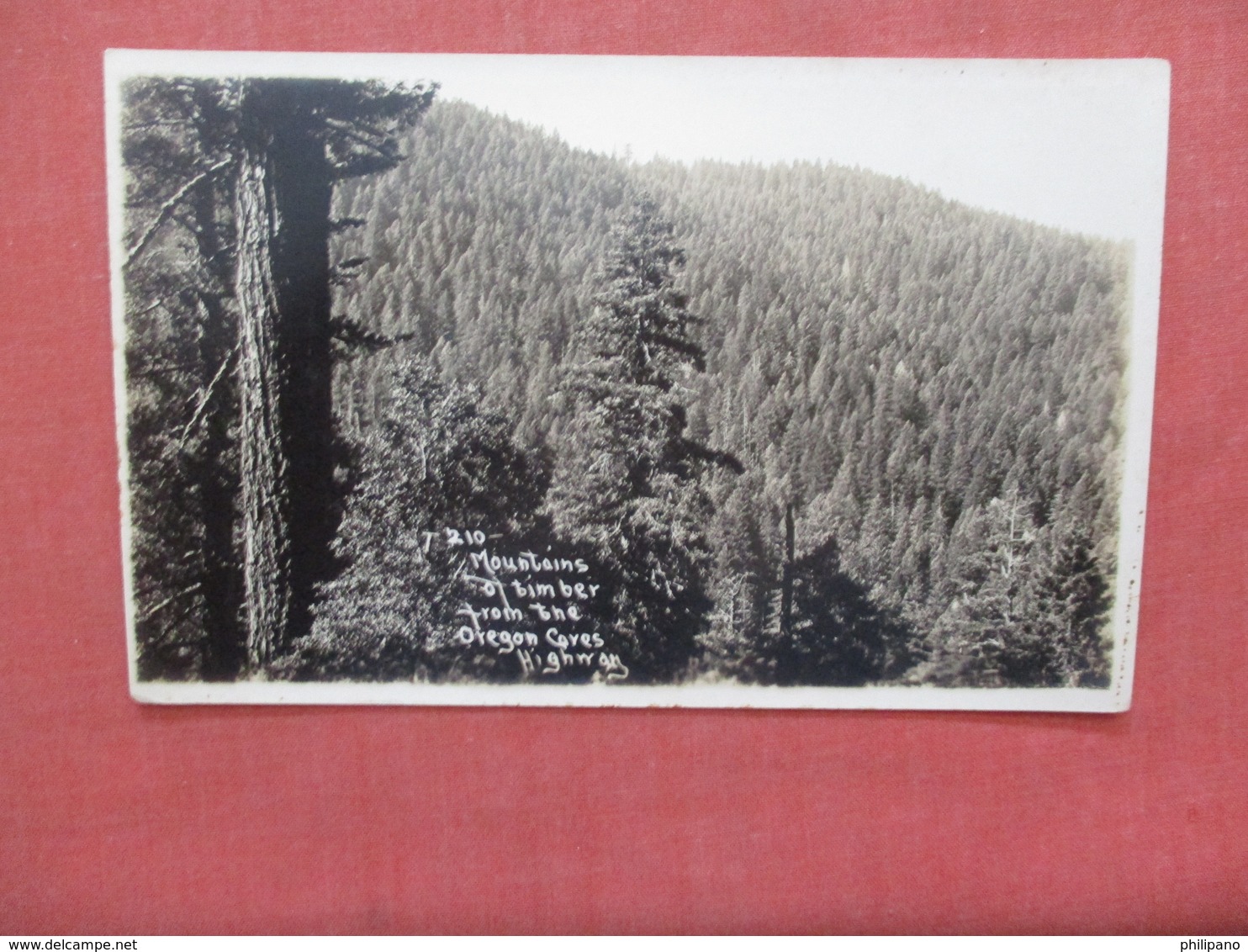 RPPC Mountains Of Timber From The Oregon Coves   Oregon   Ref 3953 - Salem