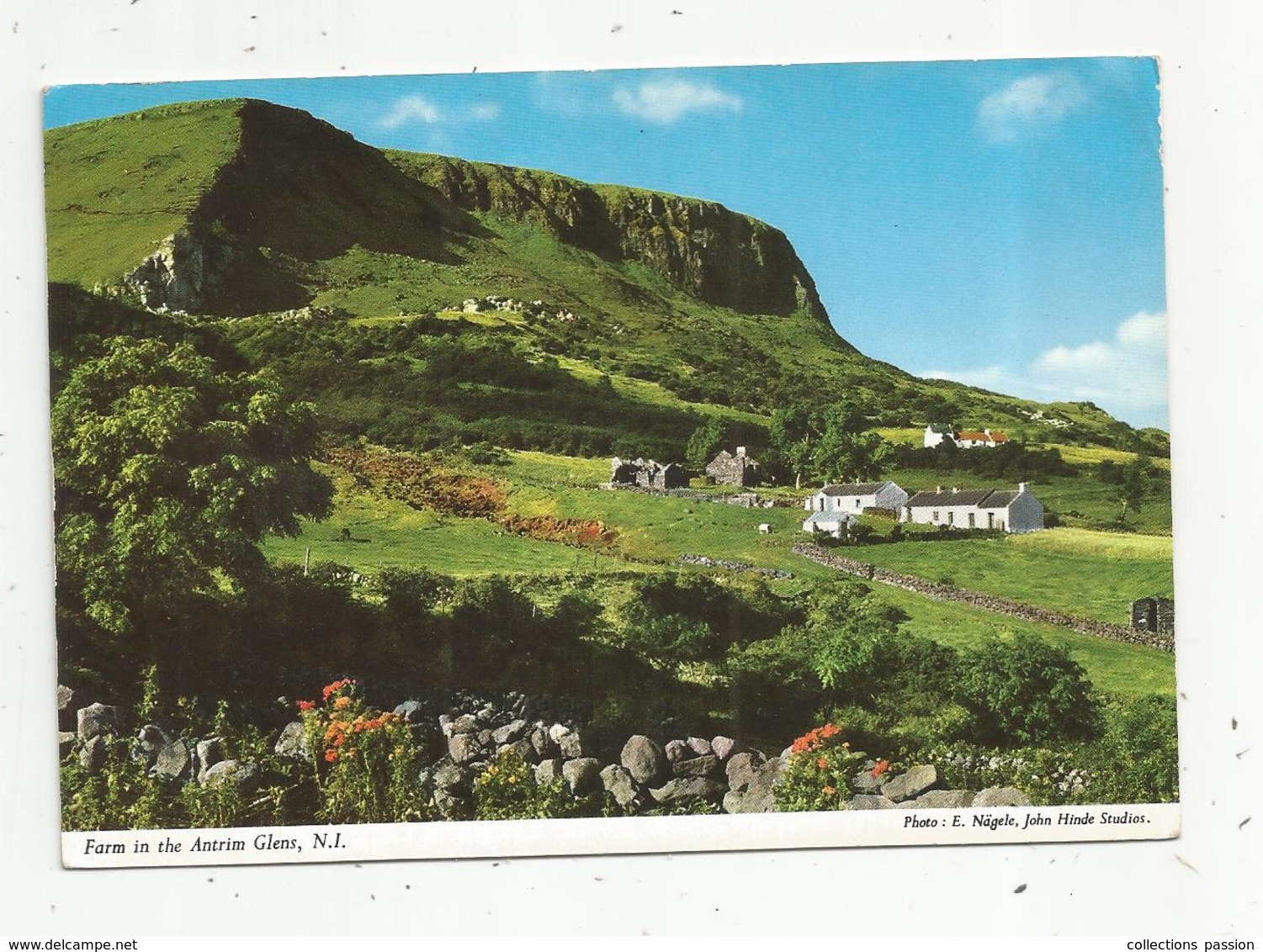 Cp, IRLANDE DU NORD ,farm In The Antrim Glens ,  écrite1966 , Voir Cachet Sur 2 E Scan - Antrim