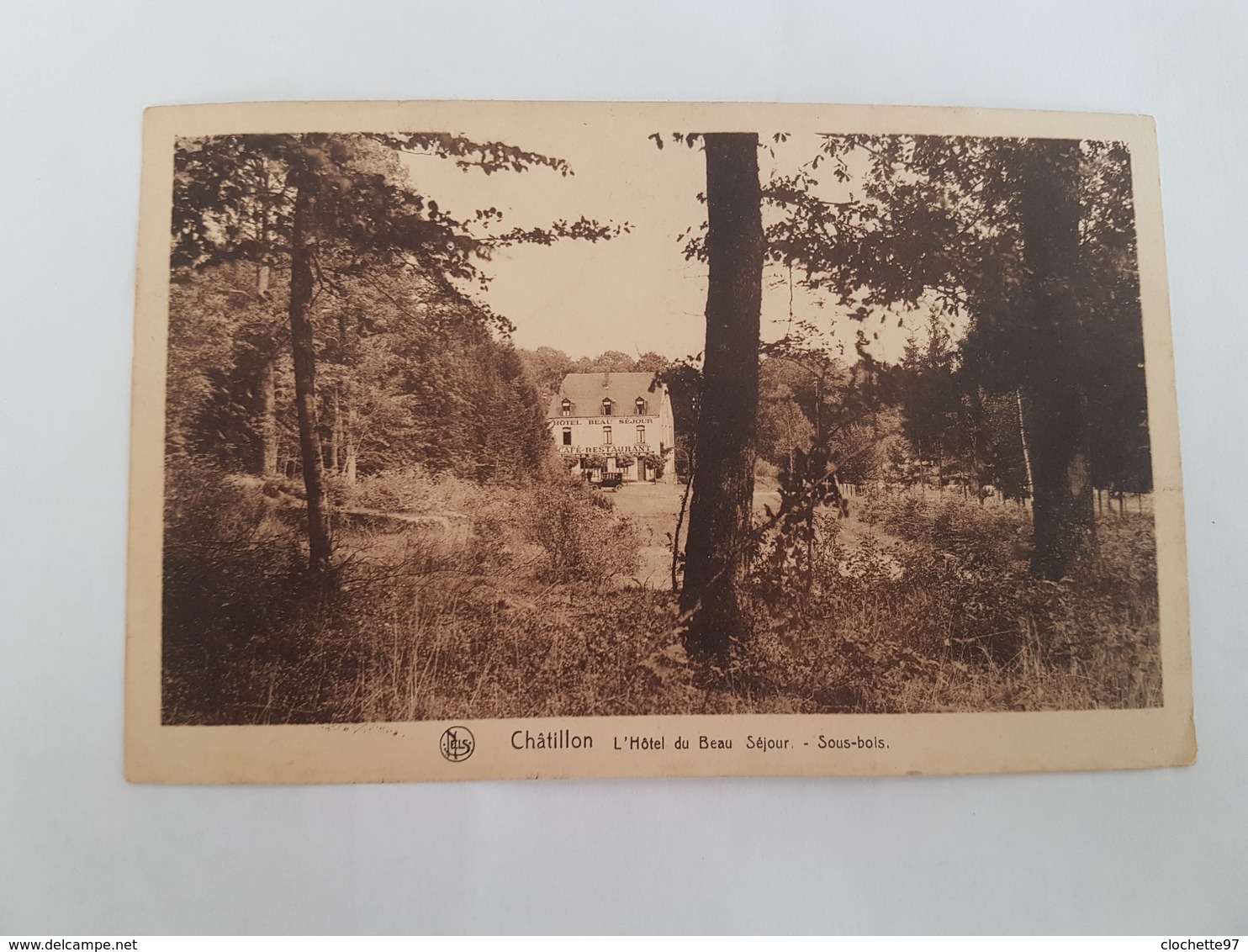 A 2705 - Chatillon L'hôtel Du Beau Séjour Sous Bois - Saint-Léger