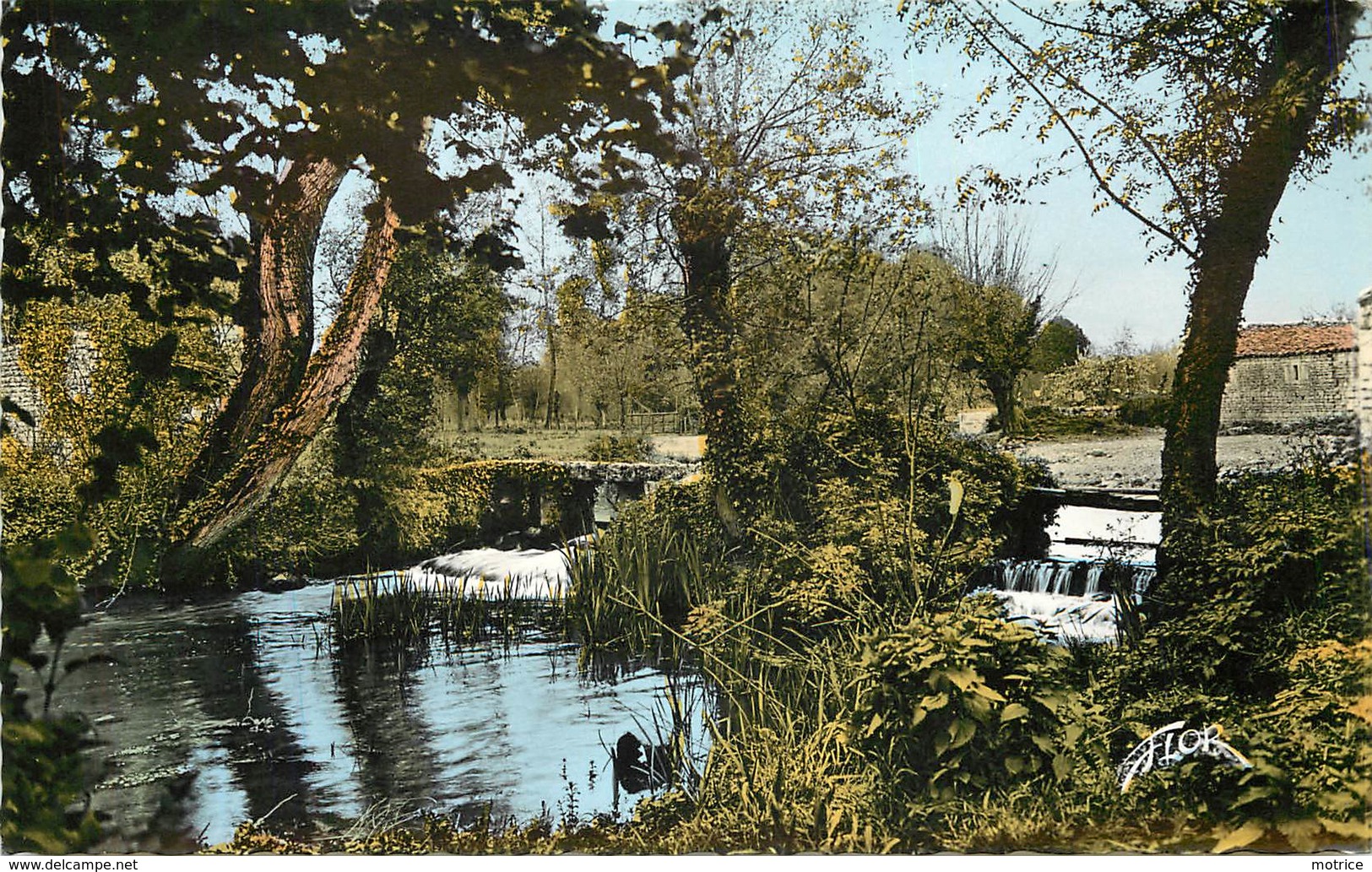 BRIOUX SUR BOUTONNE - Vue Sur La Boutonne. - Brioux Sur Boutonne