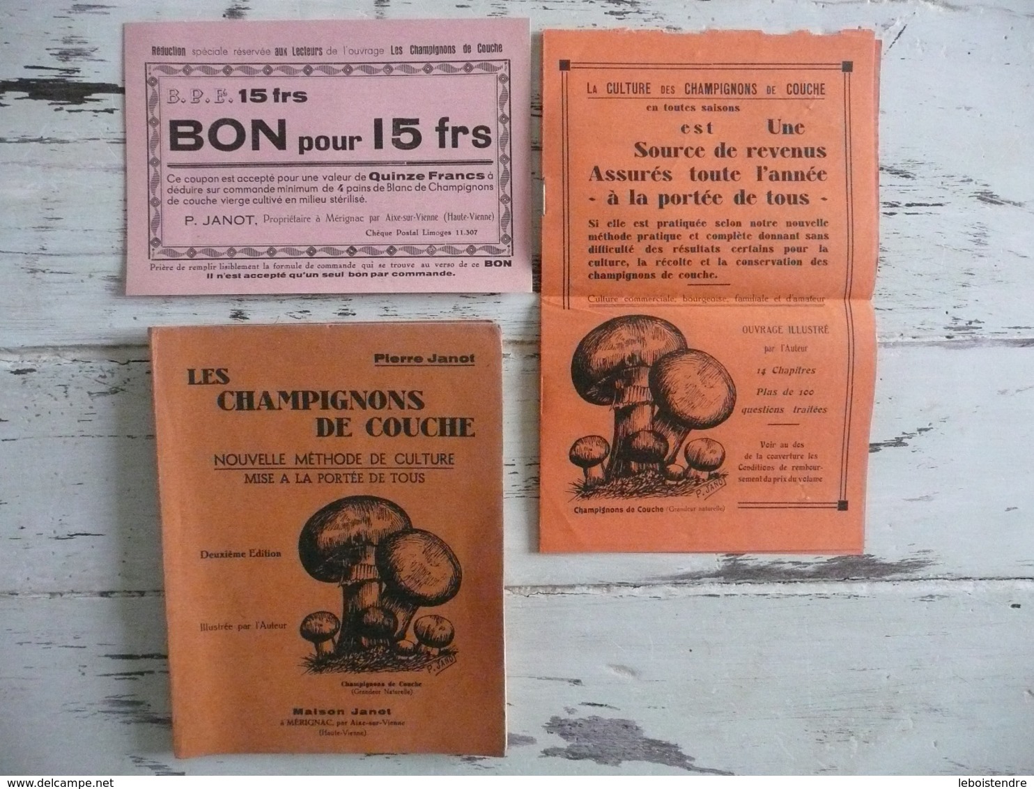 LES CHAMPIGNONS DE COUCHE PIERRE JANOT 2E EDITION  1937 CULTURE RECETTES+ PUBLICITE + BON DE REDUCTION - Garden