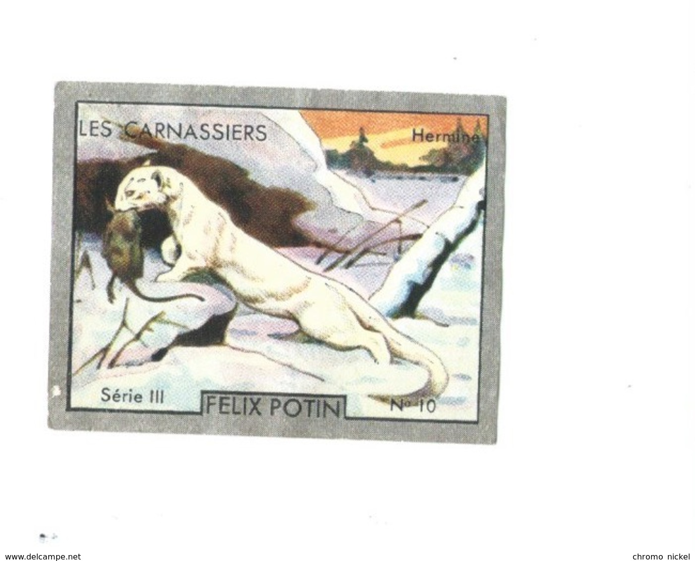 HERMINE Les Carnassiers Pub: Felix Potin Ma Collection 1930s TB 52 X 40 Mm RARE 2 Scans - Félix Potin