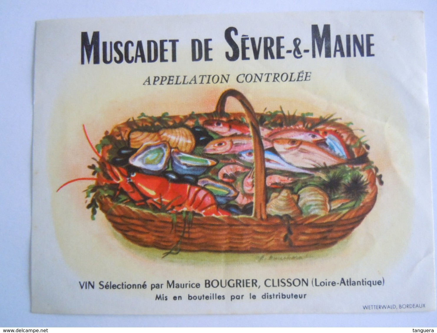 Etiket Etiquette De Vin Muscadet De Sèvre-&-Maine Clisson Poissons Crustacé Vissen Schelpdieren - Poissons