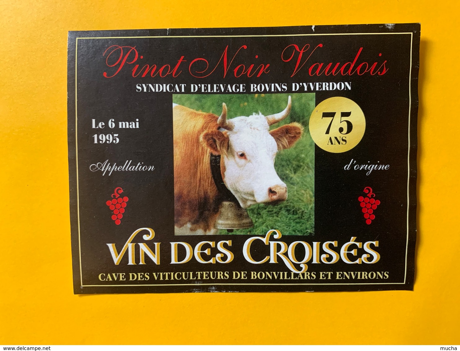 12885 - Syndicat D'Elevage Bovins D'Yverdon 75 Ans 6.05.1995  Suisse Bonvillars - Vacas