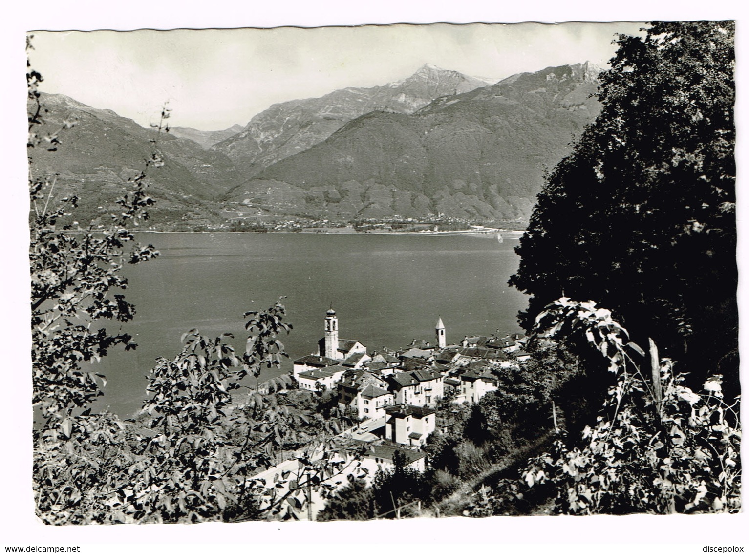 V5126 Vira Gambarogno - Lago Maggiore - Panorama / Viaggiata 1963 - Gambarogno