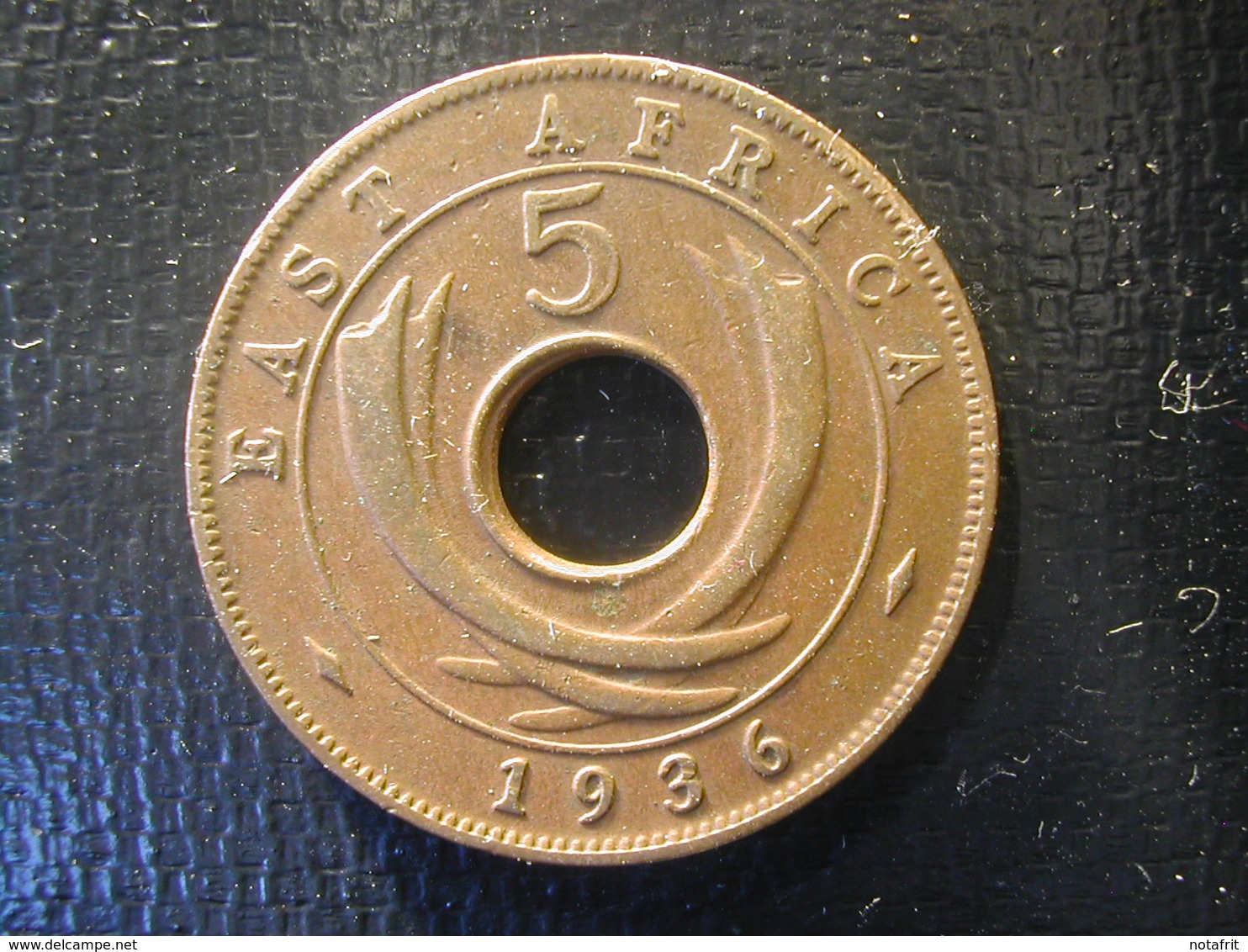 East Oost Africa  5 Cent 1936  H - Britse Kolonie