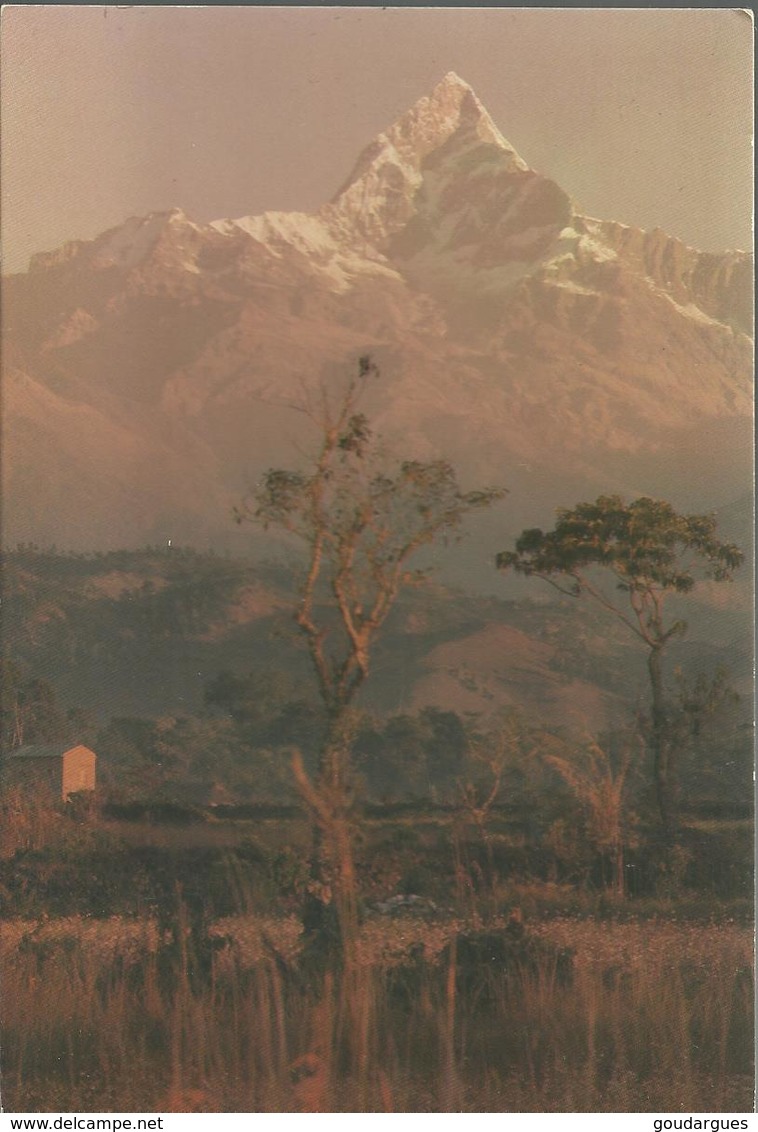 Machapuchre (Fist Tail Mountain) Pokhara - Photo: Gyanendra Das - Népal